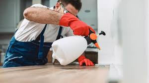 Best Real Estate Pest Inspections  in Orangetree, FL